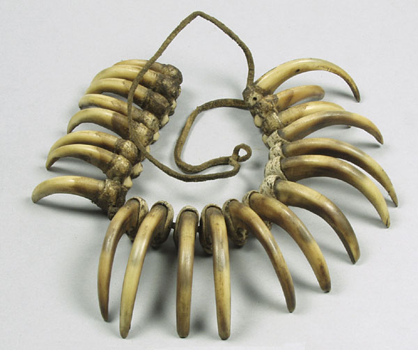 Grizzly bear hot sale claw necklace