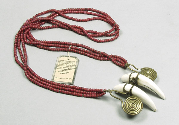 Imitation tooth necklace, India