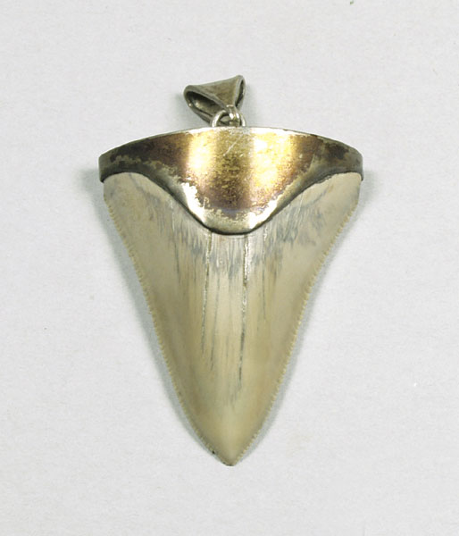 Tooth pendant, United Kingdom