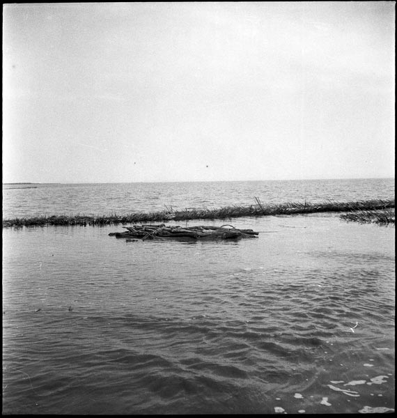 photograph scan of PRM number 1998.349.1.1