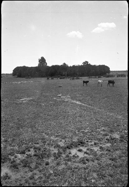 photograph scan of PRM number 1998.349.101.1