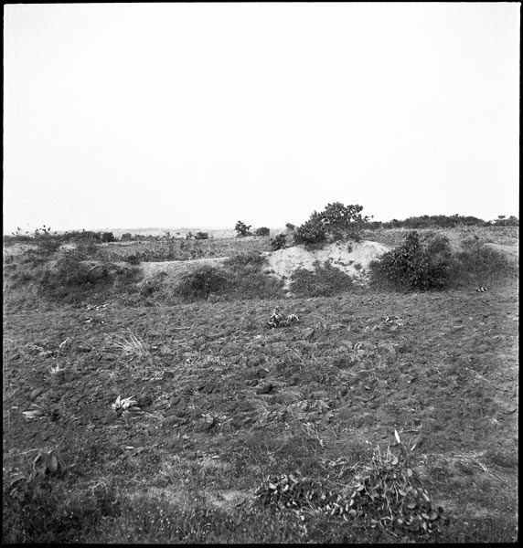 photograph scan of PRM number 1998.349.115.1