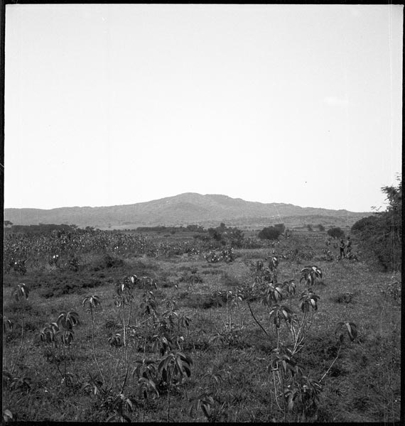 photograph scan of PRM number 1998.349.126.1
