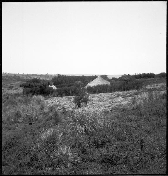 photograph scan of PRM number 1998.349.129.1
