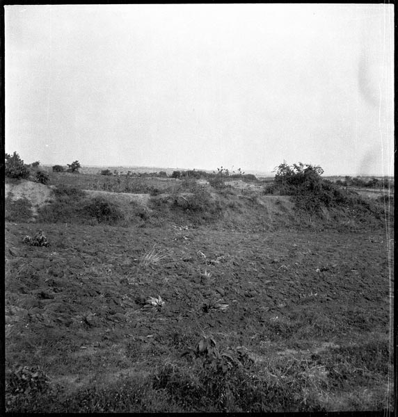 photograph scan of PRM number 1998.349.136.1
