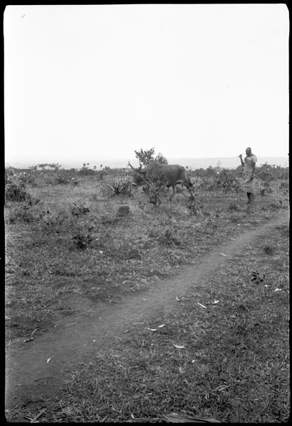 photograph scan of PRM number 1998.349.180.1
