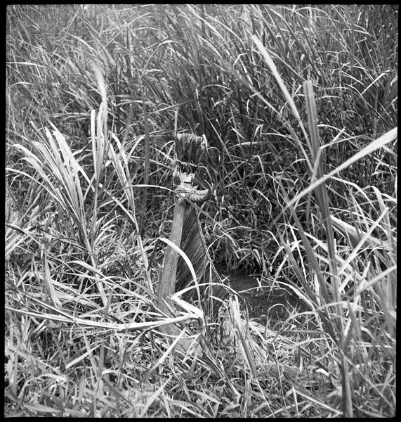 photograph scan of PRM number 1998.349.185.1