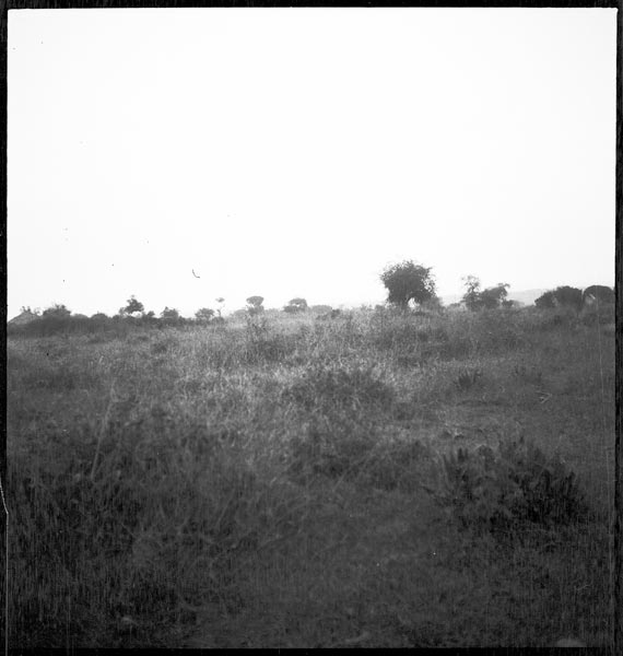 photograph scan of PRM number 1998.349.193.1