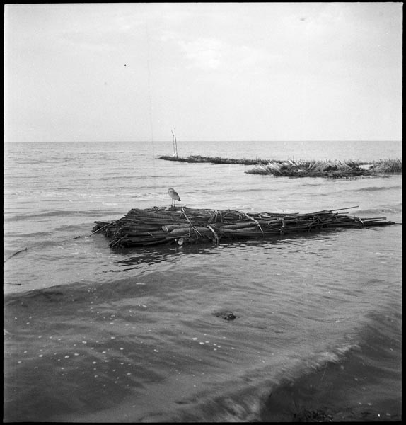 photograph scan of PRM number 1998.349.2.1