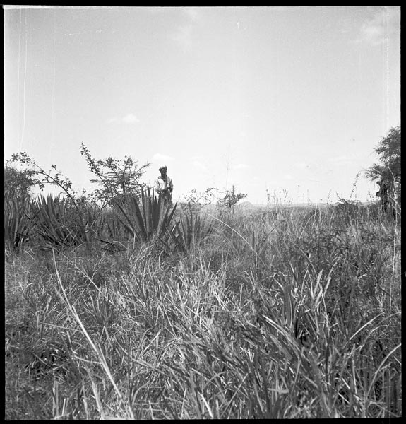 photograph scan of PRM number 1998.349.215.1