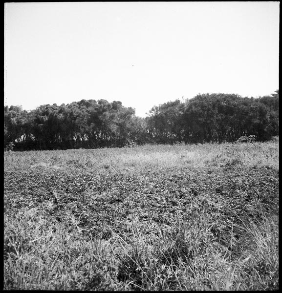 photograph scan of PRM number 1998.349.22.1