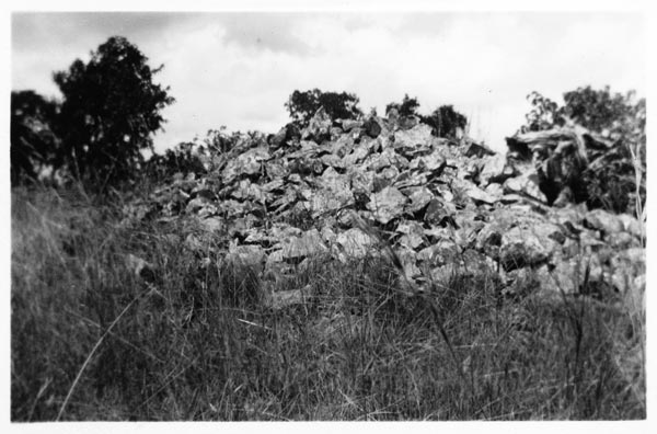 photograph scan of PRM number 1998.349.220.2