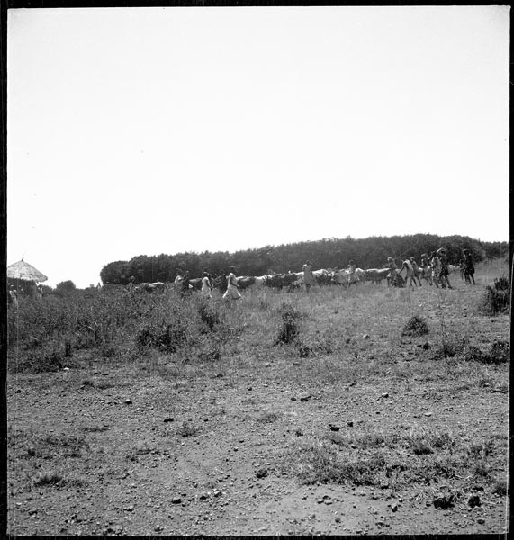 photograph scan of PRM number 1998.349.225.1