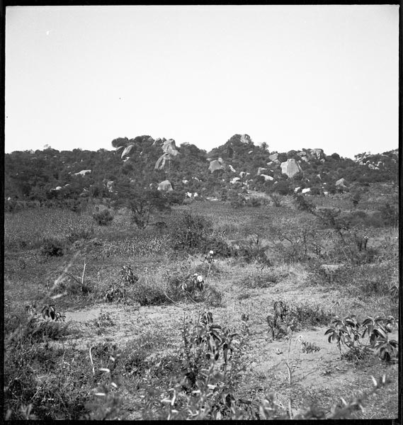 photograph scan of PRM number 1998.349.238.1