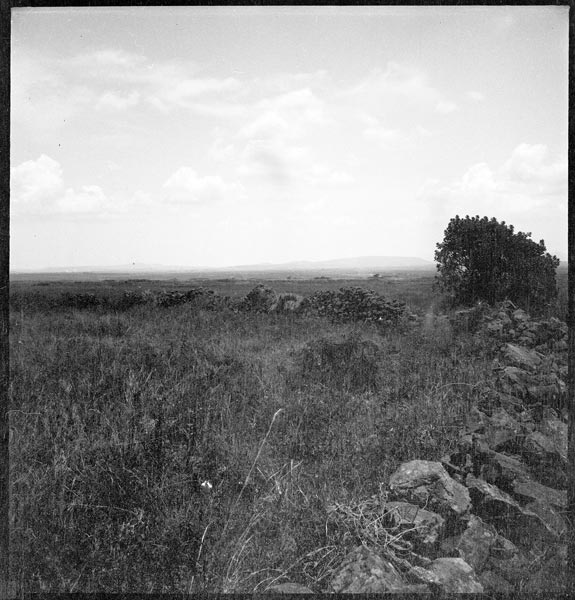 photograph scan of PRM number 1998.349.287