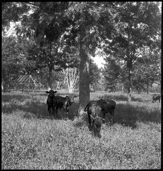 photograph scan of PRM number 1998.349.298