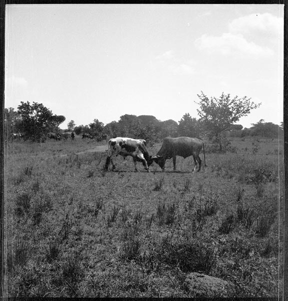 photograph scan of PRM number 1998.349.314