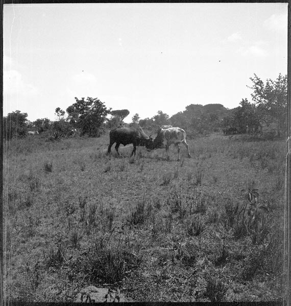 photograph scan of PRM number 1998.349.317