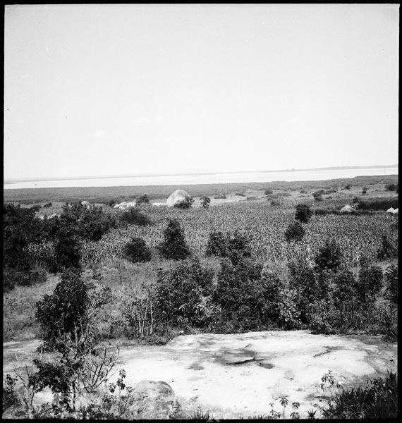 photograph scan of PRM number 1998.349.338