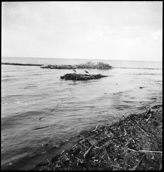 photograph scan of PRM number 1998.349.343