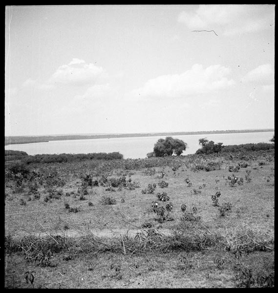 photograph scan of PRM number 1998.349.56.1