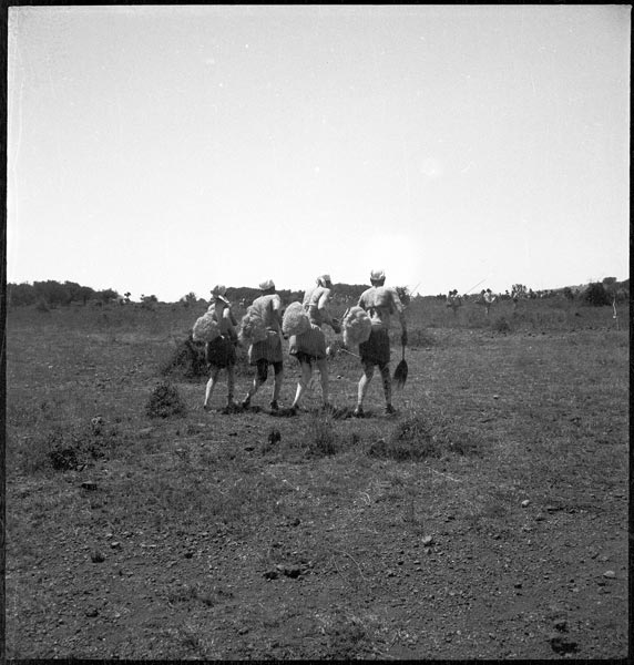 photograph scan of PRM number 1998.349.59.1