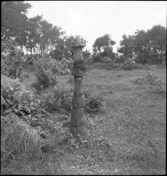 photograph scan of PRM number 1998.349.62.1