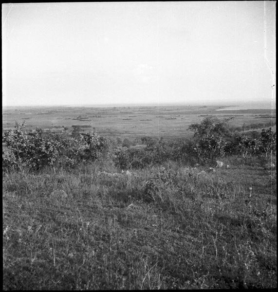 photograph scan of PRM number 1998.349.72.1