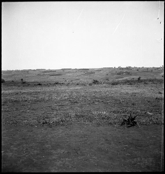 photograph scan of PRM number 1998.349.77.1