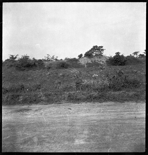 photograph scan of PRM number 1998.349.86.1