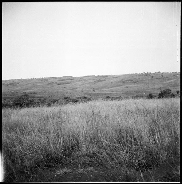 photograph scan of PRM number 1998.349.88.1