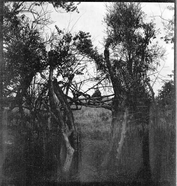 photograph scan of PRM number 1998.349.9.1