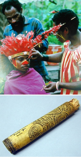 [b]Top:[/b] From an image taken by Michael O'Hanlon in Papua New Guinea in 1979.[br][b]Bottom:[/b] Purchased from Eva Cutter in 1901; 1901.57.2