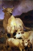 Edwin Landseer 'Wild cattle of Chillingham' from Wikipedia