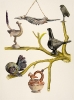 'Birds without feathers' from Sue Johnson's exhibition