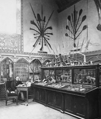 H.P. Blackmore in his museum [Copyright S&SWM] 