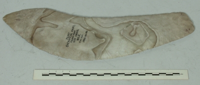 Flint knife 1884.140.82