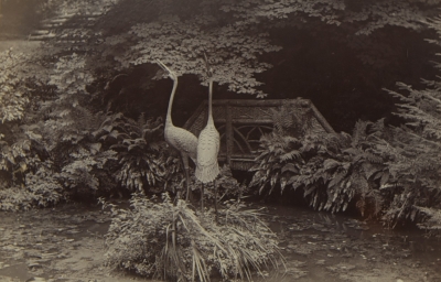 Japanese Bronze Storks, Larmer Gardens