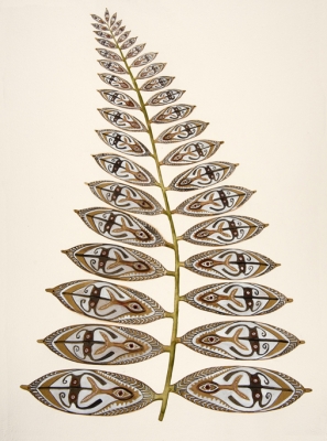 Prickly shield fern by Sue Johnson