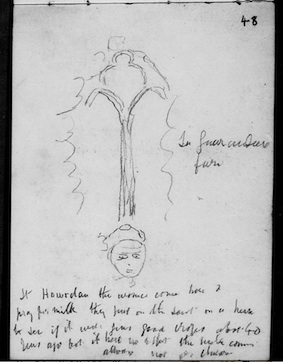 National Archives, Pitt-Rivers notebooks WORK 39/1 page 49