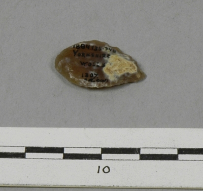 Stone arrowhead from Yorkshire 1884.135.348