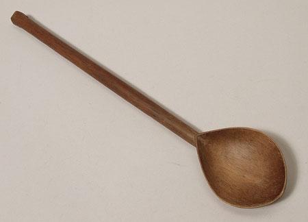 Southern Larim spoon