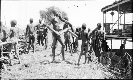 Nuer men loading fuelwood