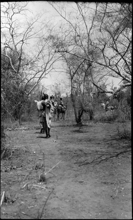 Mounted expedition porters