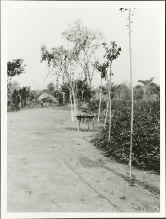Zande road with medicine hut