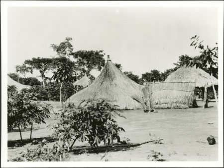 Zande homestead