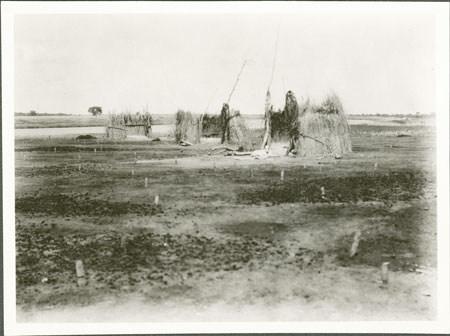 Nuer cattle camp windscreens