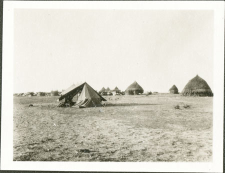 Nuer cattle camp 