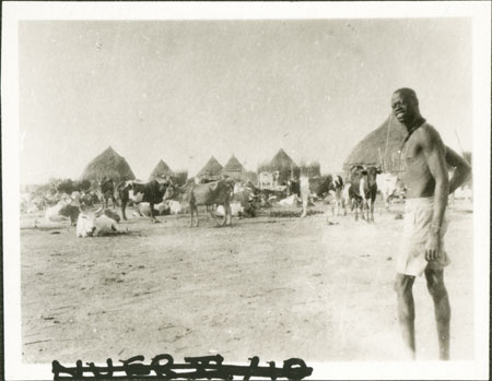 Nuer cattle camp