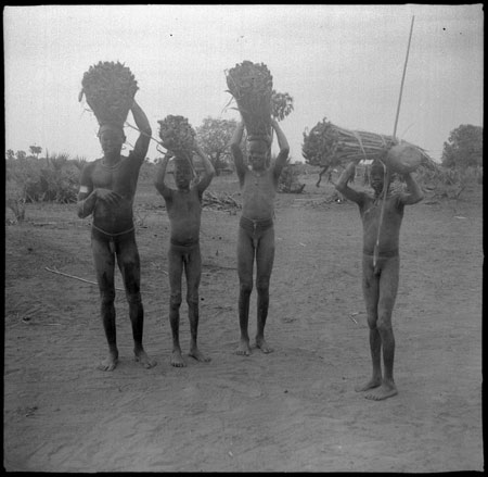 Mandari youths collecting reeds